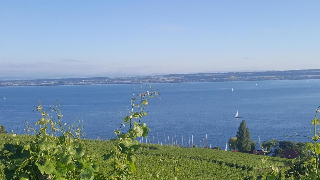 Studio Bodensee Daisendorf Exteriér fotografie